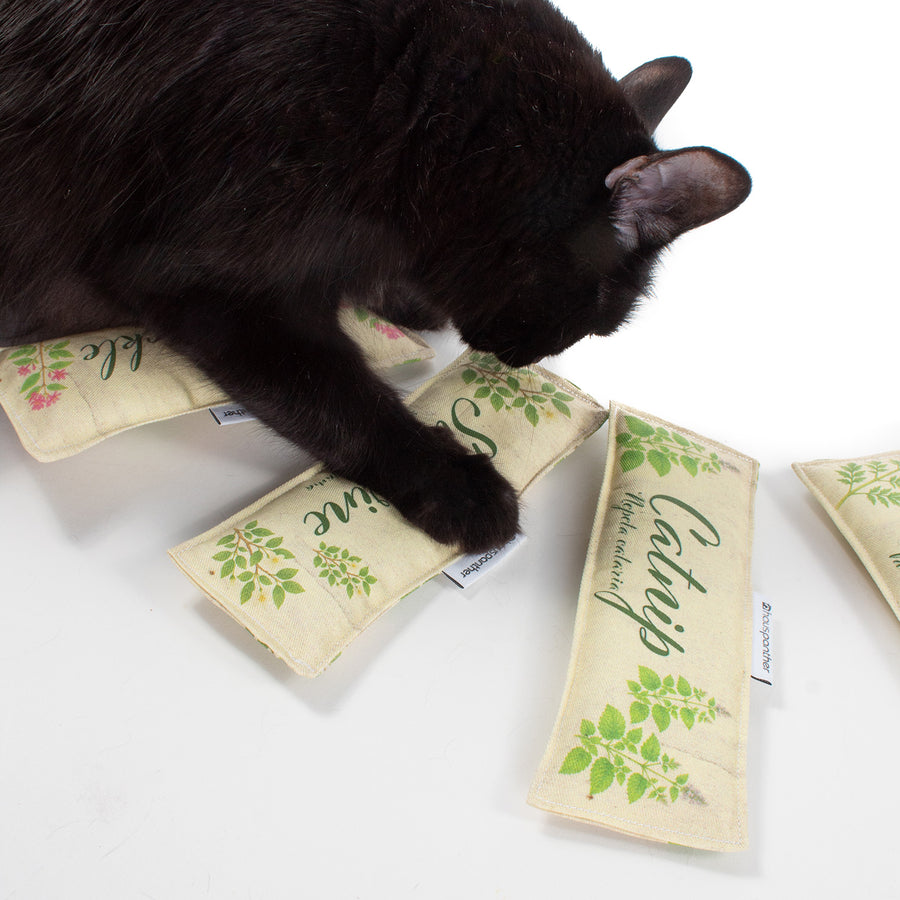 Scent Enrichment Cat Toy Set (set of 4 toys)
