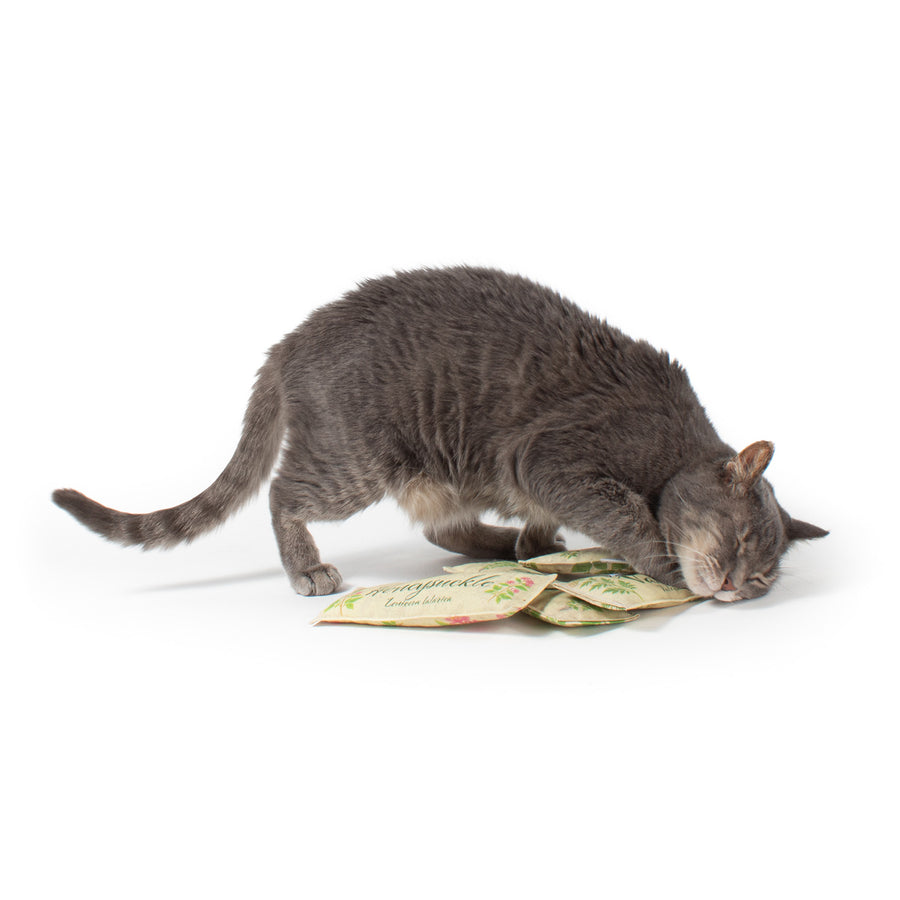 Scent Enrichment Cat Toy Set (set of 4 toys)