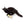 Scent Enrichment Cat Toy Set (set of 4 toys)