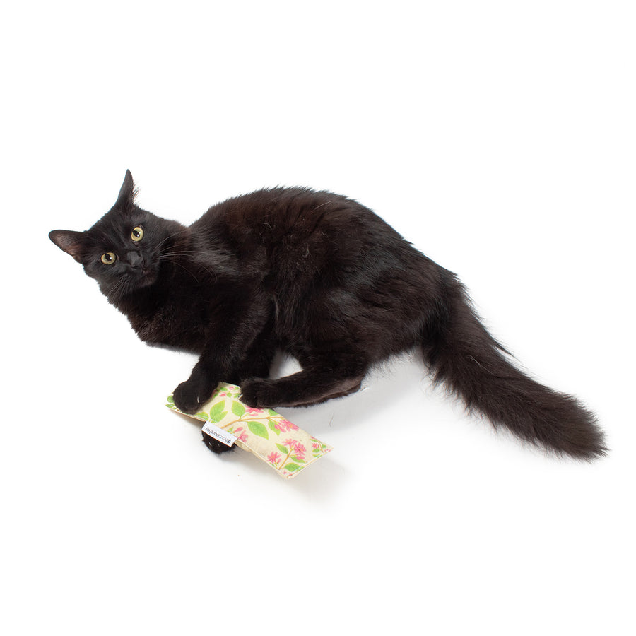 Scent Enrichment Cat Toy Set (set of 4 toys)