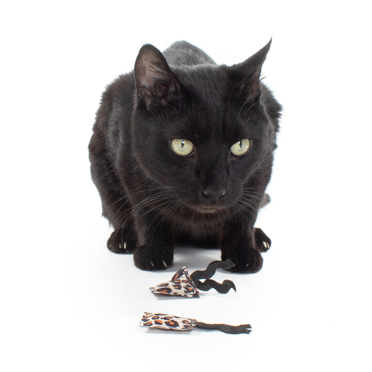 Catnip Ribbon Ravioli (set of 3 toys)