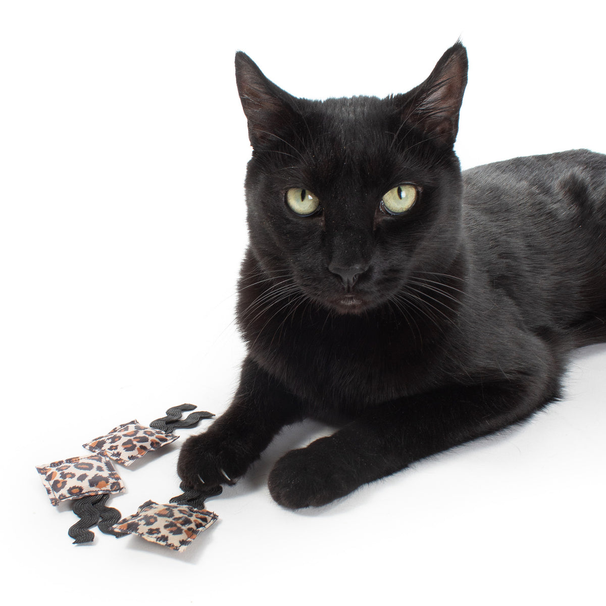 Catnip Ribbon Ravioli (set of 3 toys)