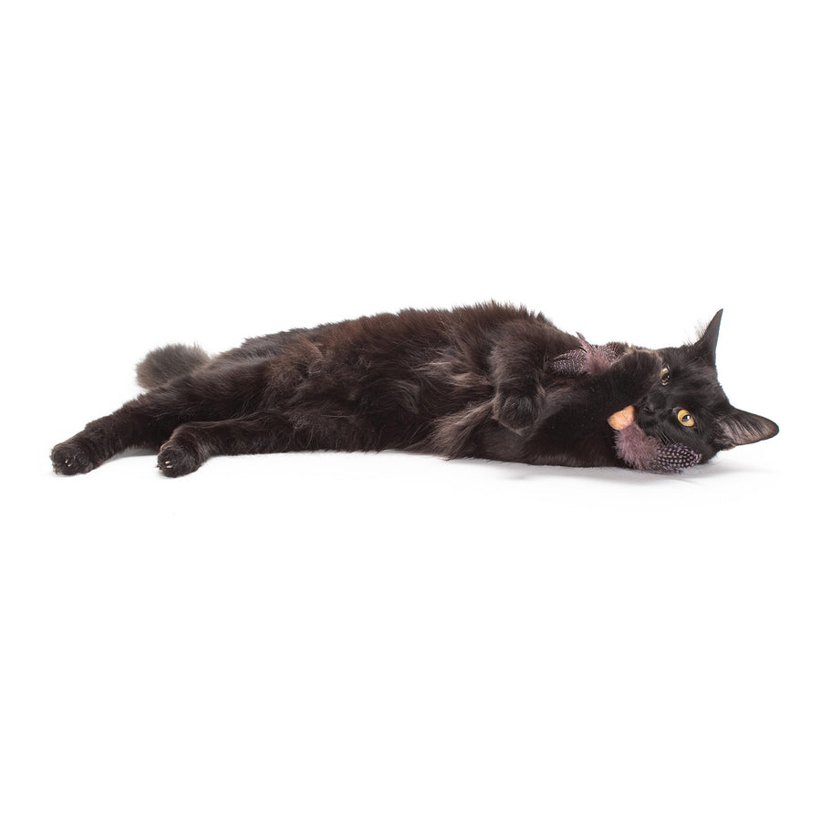 Feather Cork Ball Cat Toys