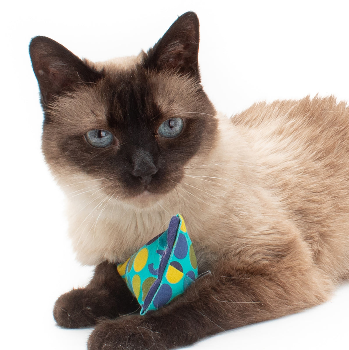 ModShakers :: Catnip Rattle Toys