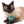 ModShakers :: Catnip Rattle Toys