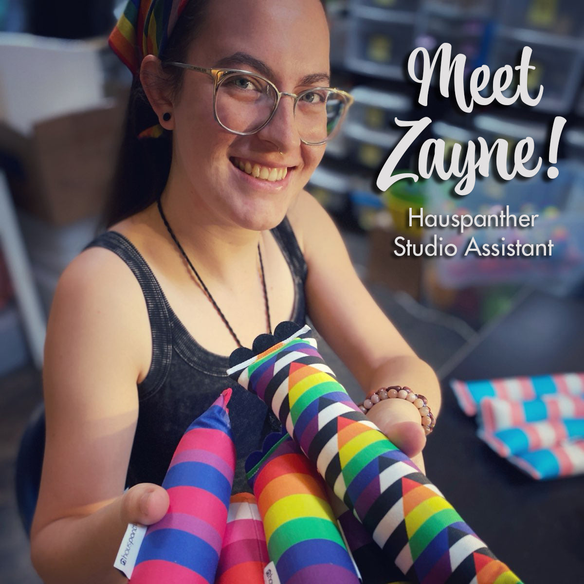 Purr with Pride! Limited Edition Pride Cat Toys :: ModKickers, ModShakers & ModPods