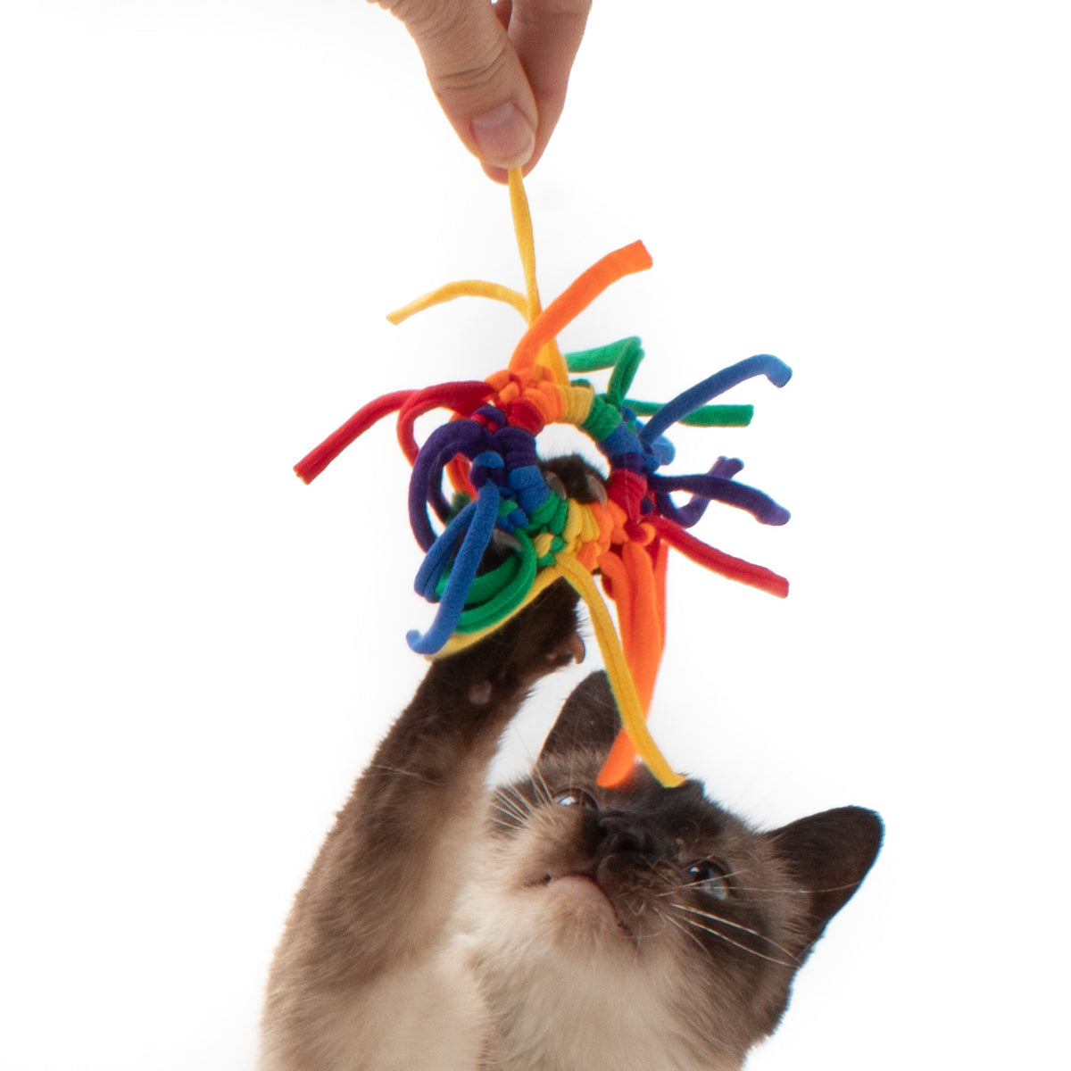 Spider Ring Cat Toy