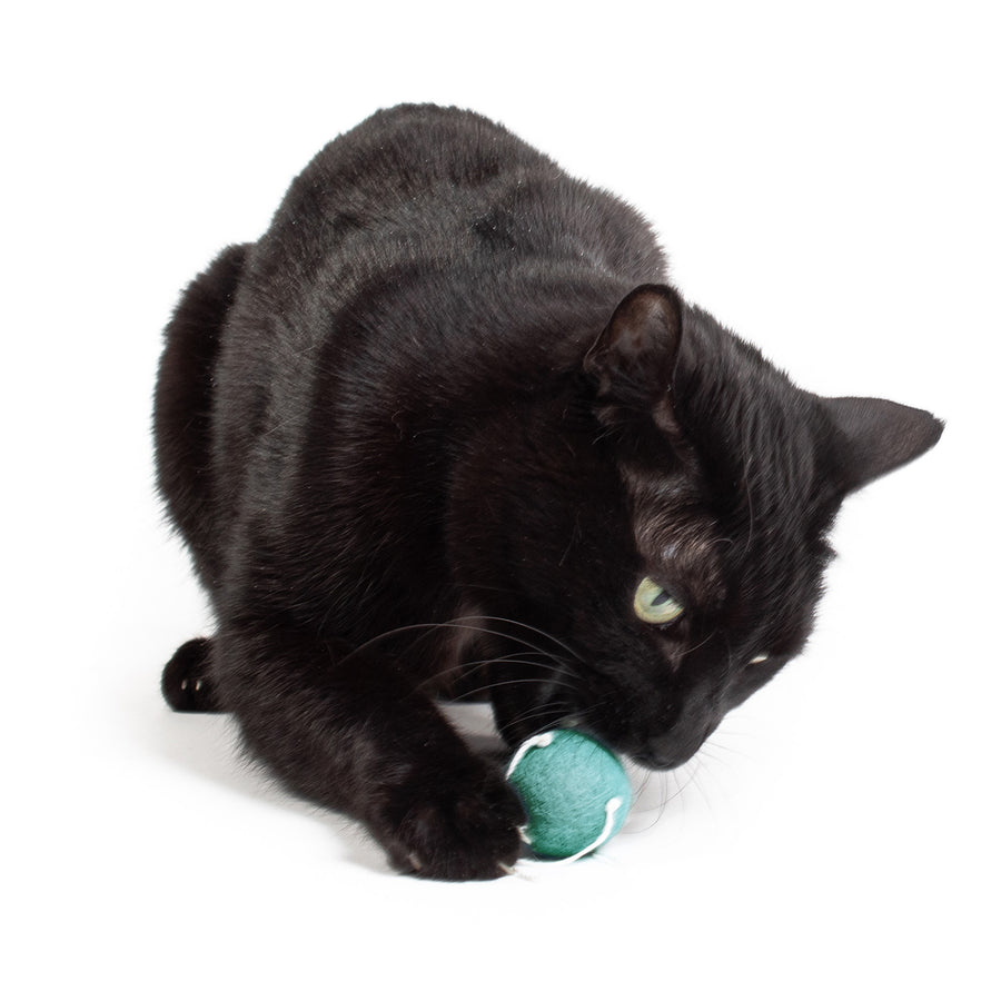 Spider Spheres Wool Felt Cat Toys