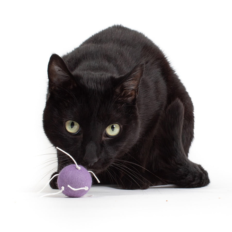 Spider Spheres Wool Felt Cat Toys