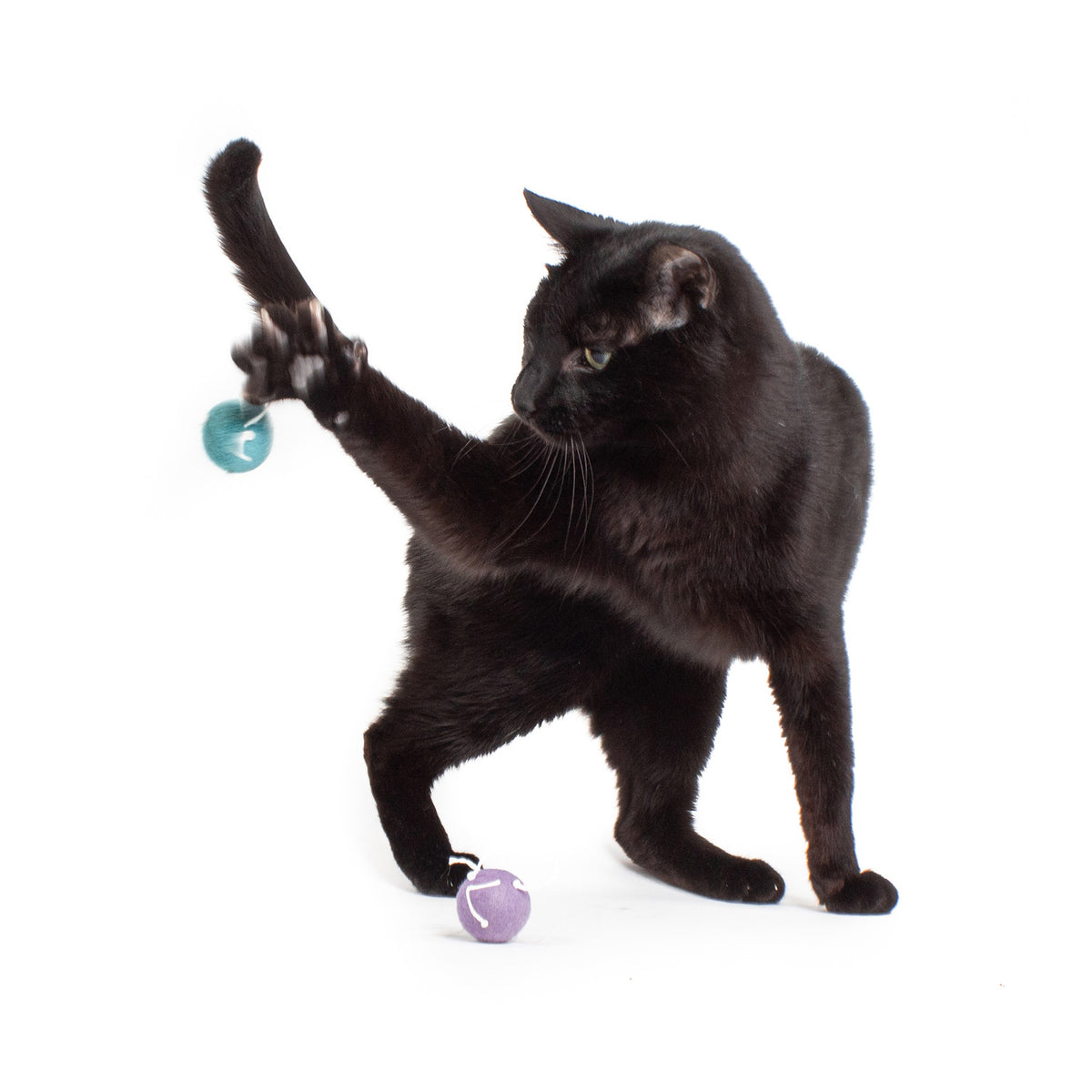 Spider Spheres Wool Felt Cat Toys