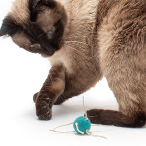 Spider Spheres Wool Felt Cat Toys (Set of 2 toys)