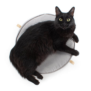 KÖT Raised Cat Bed :: Hauspanther + Square Paws Collaboration