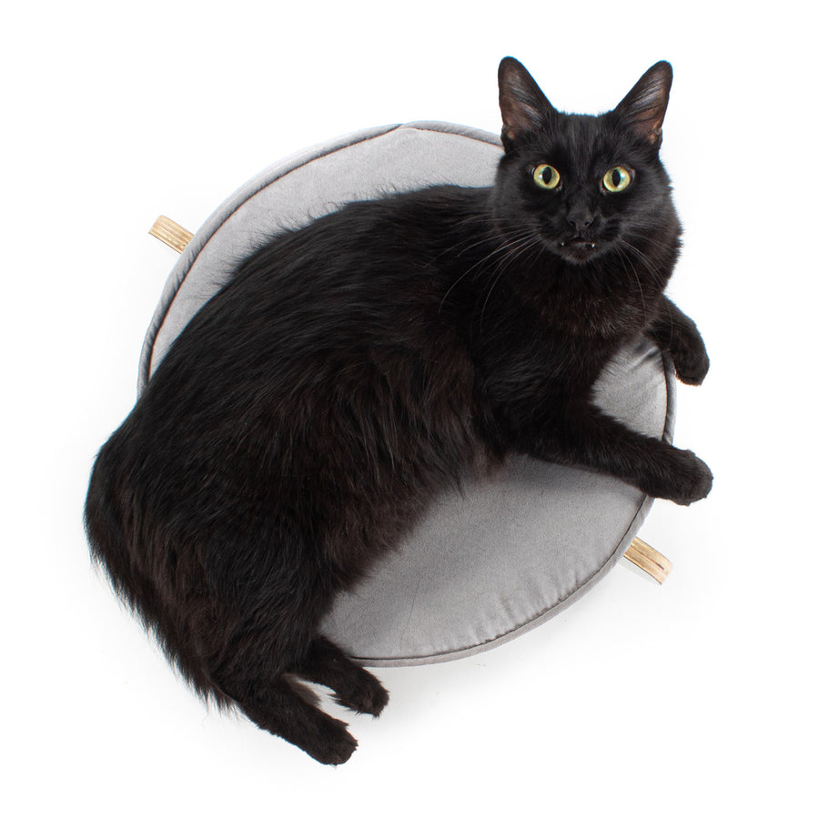 KÖT Raised Cat Bed :: Hauspanther + Square Paws Collaboration