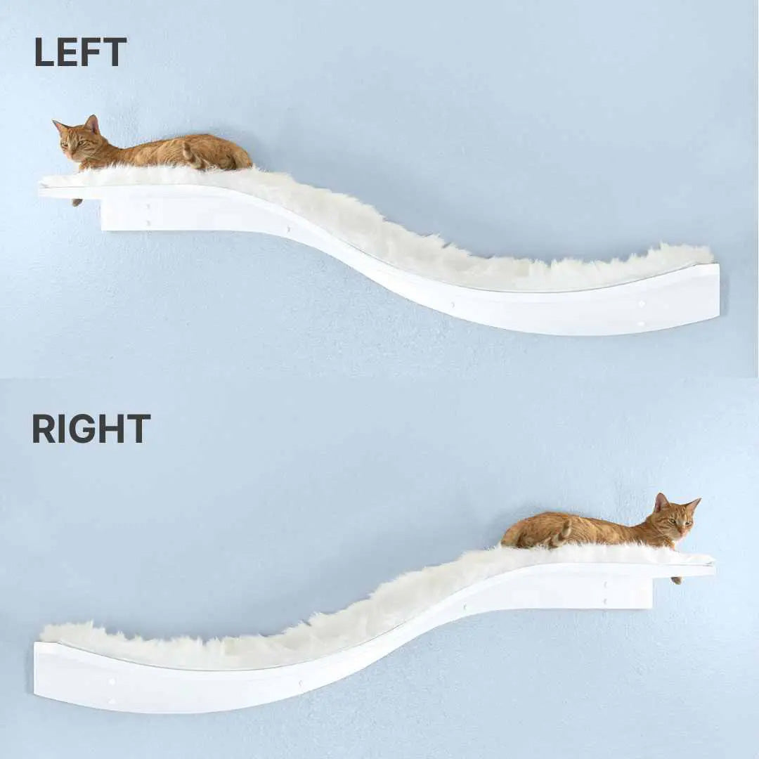 Lotus Branch Cat Shelf from The Refined Feline