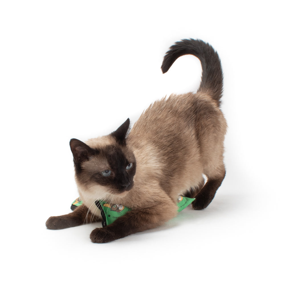 Mission Meow Fundraiser :: Limited Edition ModKickers & ModShakers