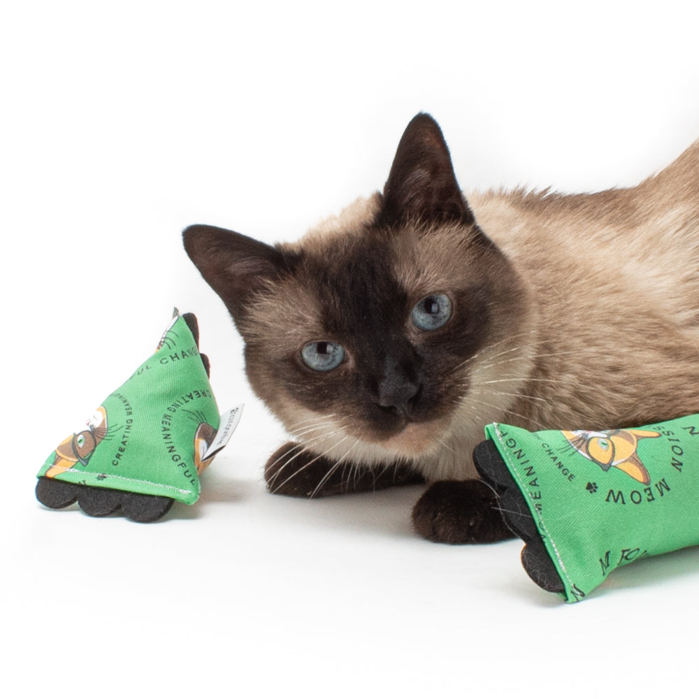 Mission Meow Fundraiser :: Limited Edition ModKickers & ModShakers