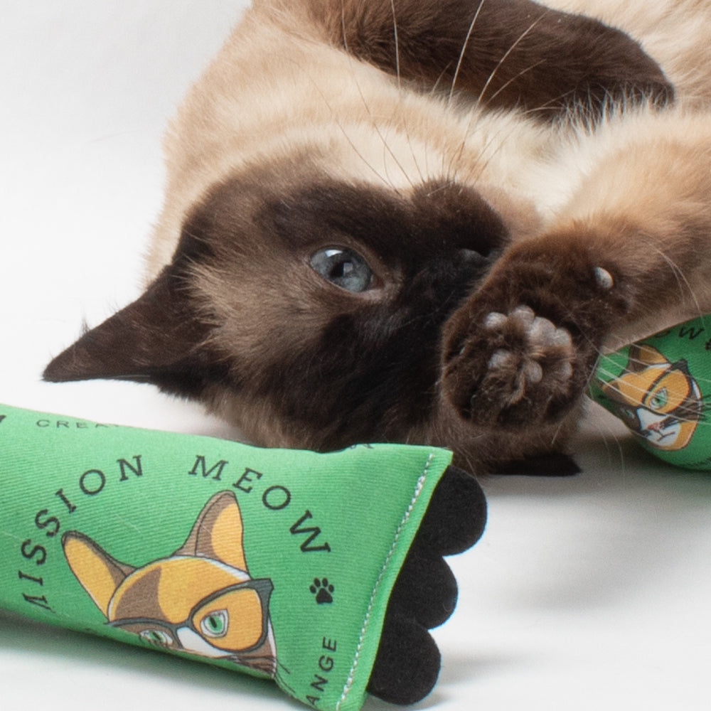Mission Meow Fundraiser :: Limited Edition ModKickers & ModShakers