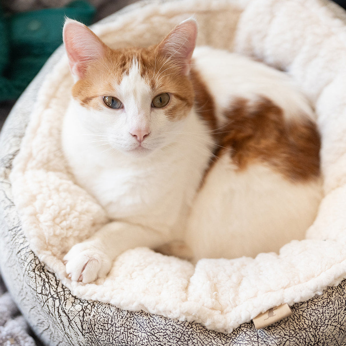 Donut Cuddler Cat Bed from Pet Play