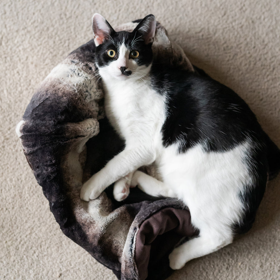 Snuggle Bed Convertible Cat Bed from P.L.A.Y.