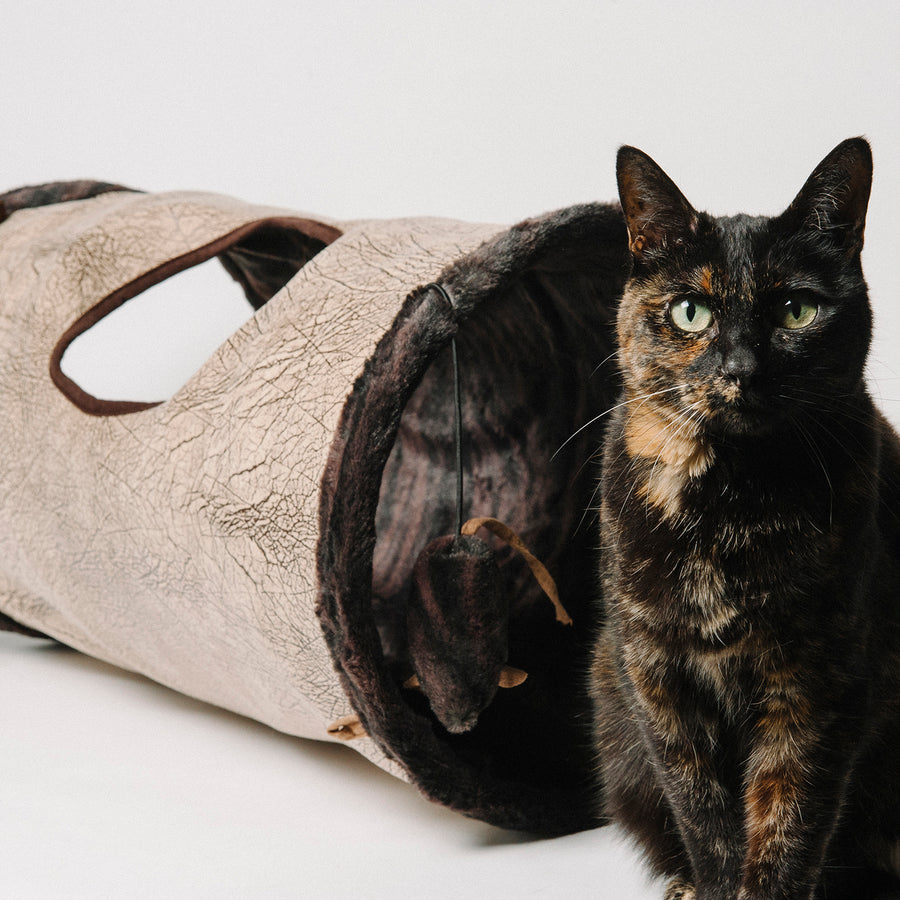 Purr & Pounce Cat Tunnel from P.L.A.Y.