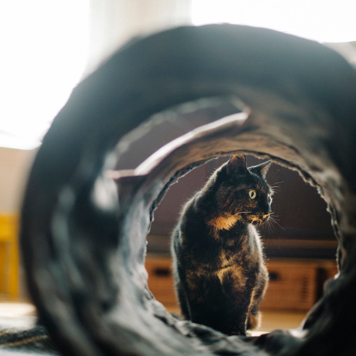 Purr & Pounce Cat Tunnel from Pet Play
