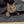 The Ripple Rug Cat Activity Mat - Made in the USA