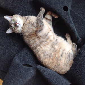 The Ripple Rug Cat Activity Mat - Made in the USA