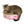 Endless Buffet Scratch Pad from Square Paws