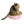 2-Pack Bundle - Endless Buffet Scratch Pad from Square Paws