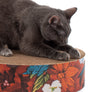 Groovy Grind Scratch Pad from Square Paws