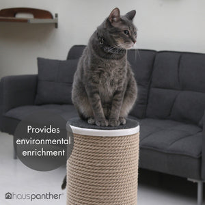 Hauspanther MaxScratch Oversized Cat Scratching Post & Perch by Primetime Petz