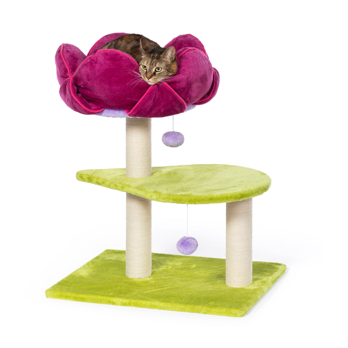 Flower Power Cat Tower from Prevue Pet
