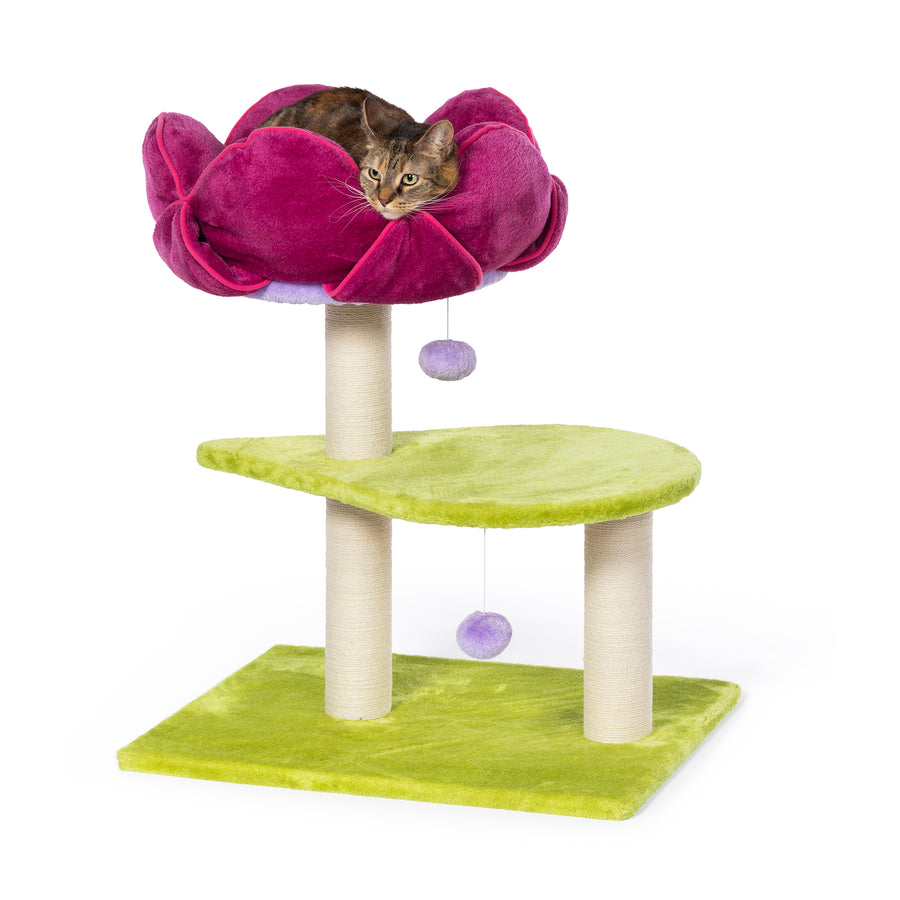 Flower Power Cat Tower from Prevue Pet
