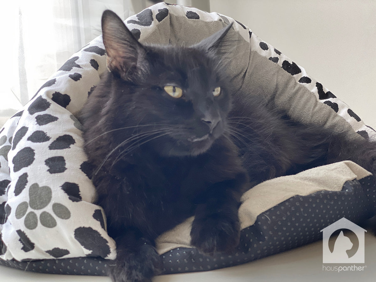Black, White & Grey Paw Print Canvas Cave Cat Bed from Armarkat