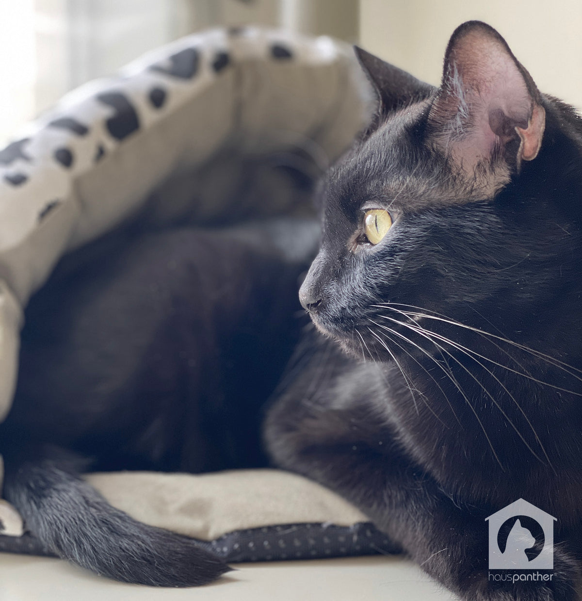 Black, White & Grey Paw Print Canvas Cave Cat Bed from Armarkat