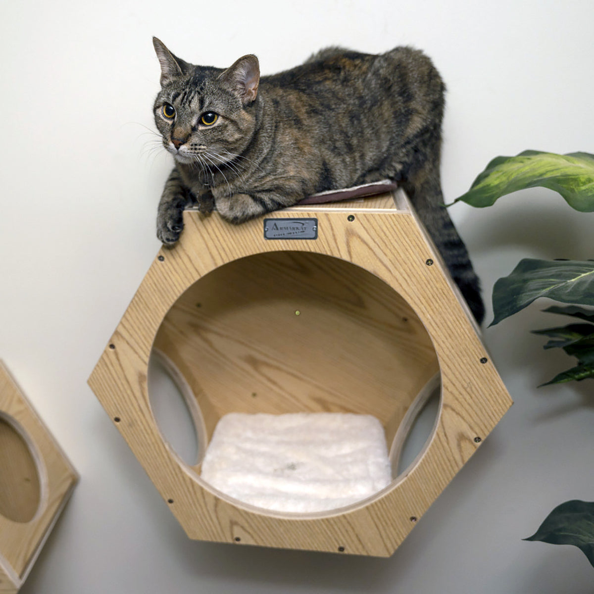 Wall-mounted Hexagonal Wood Climber & Hideaway from Armarkat (set of 2)