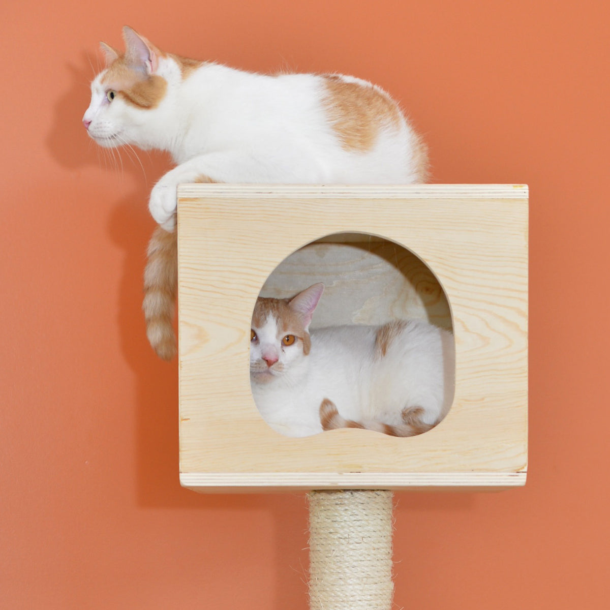 69" Multi-platform Premium Wood Cat Tree from Armarkat