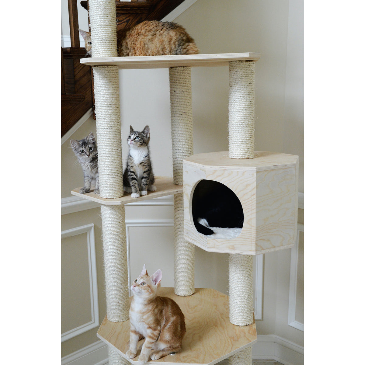 85" Multi-platform Premium Wood Cat Tree from Armarkat