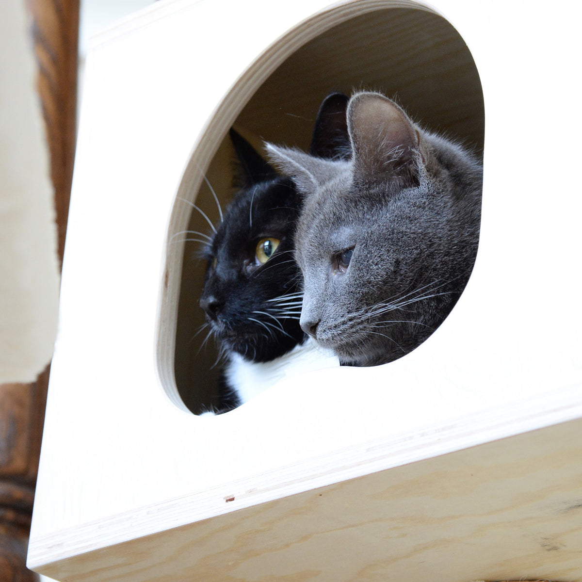 89" Multi-platform Premium Wood Cat Tree from Armarkat