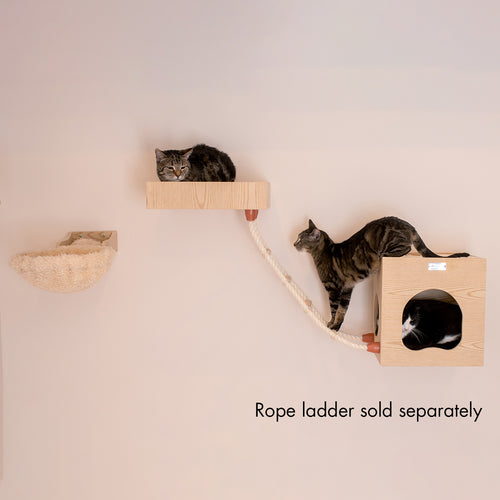 3-piece Wooden Catification Set from Armarkat :: Wall-mounted Cat Shelf, Hideaway & Hammock