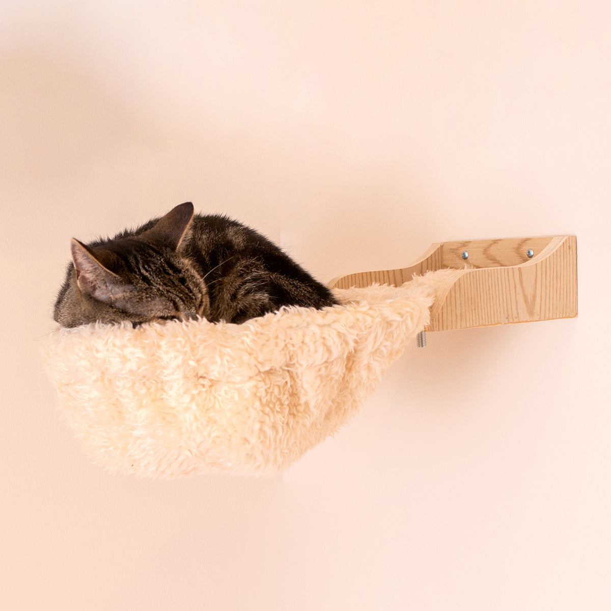 3-piece Wooden Catification Set from Armarkat :: Wall-mounted Cat Shelf, Hideaway & Hammock