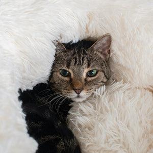 Ultra Plush Cuddler Cat Bed from Armarkat