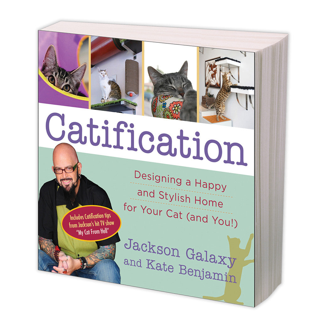 Catification: Designing a Happy and Stylish Home for Your Cat (and You!)