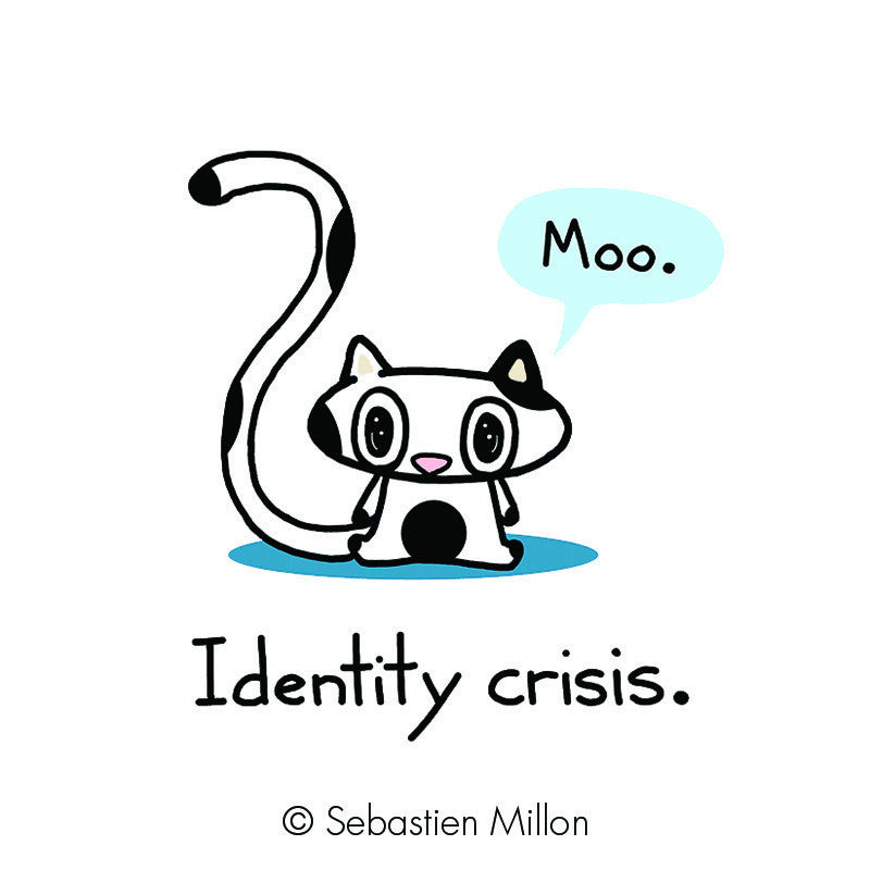 Cattoo Design Temporary Tattoos for Cat Lovers