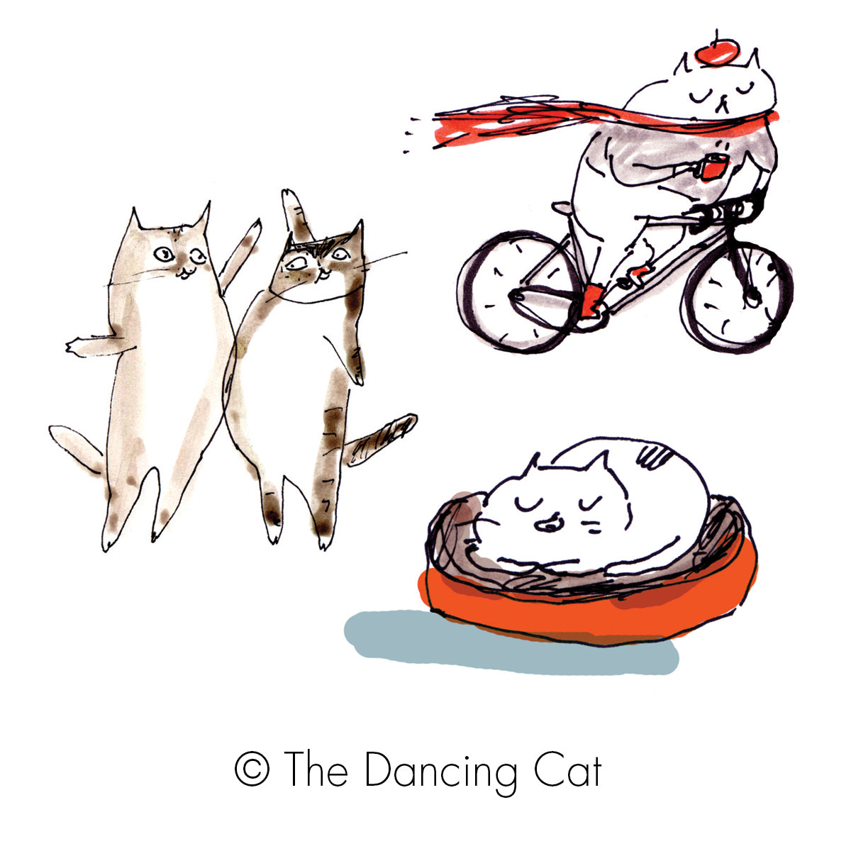 Cattoo Design Temporary Tattoos for Cat Lovers