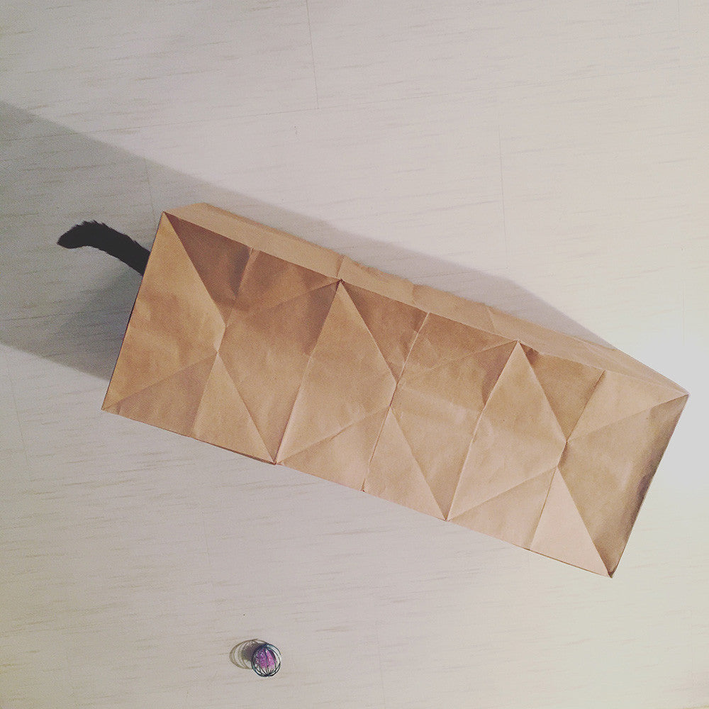 Hide and Sneak Paper Bag Cat Tunnel from Dezi & Roo