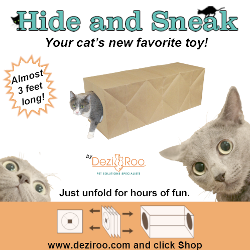Hide and Sneak Paper Bag Cat Tunnel from Dezi & Roo