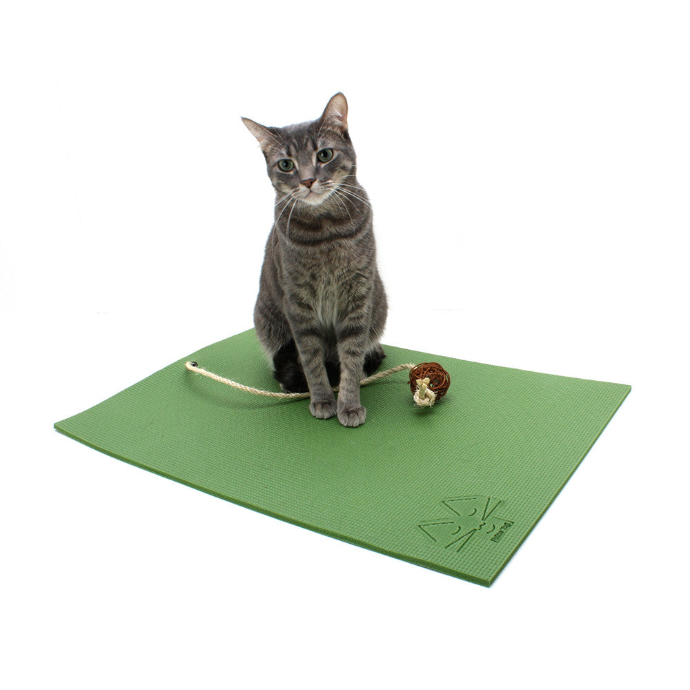 Robo Cat Combiner Accessories Yoga Mat