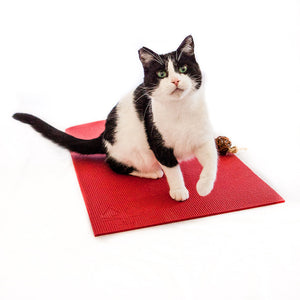 Catnip Yoga Mat Cat Bed Catnip Mat Handmade Cat Toys Catnip Cat Toys 