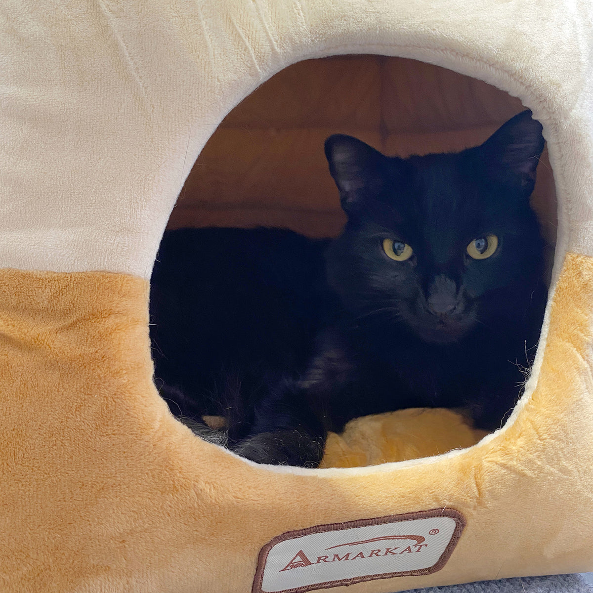Two-tone Velvet Convertible Hideaway Cat Bed from Armarkat